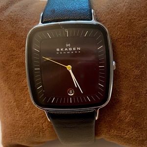 Skagen Denmark Watch Model# 2711301